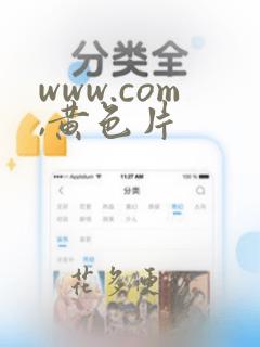 www.com,黄色片