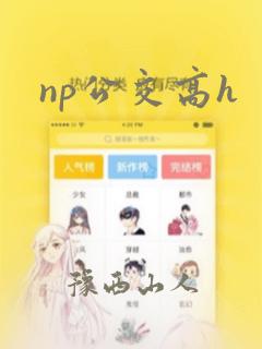 np公交高h