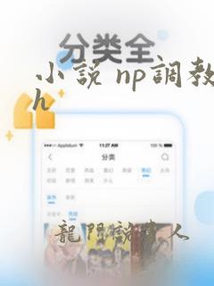 小说 np调教h