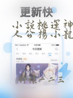 小说桃运神医主人公杨小龙