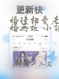 婚后相爱老婆离婚无效 小说