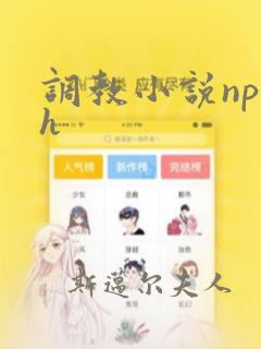 调教小说np高h