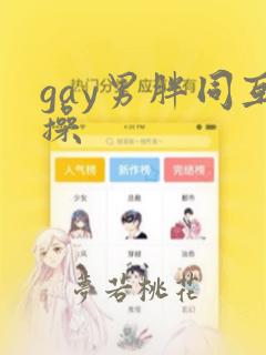 gay男胖同互操