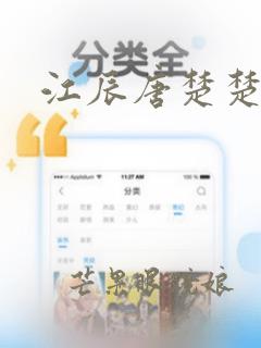 江辰唐楚楚章节