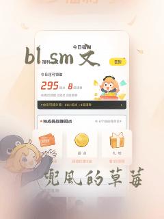 bl sm文