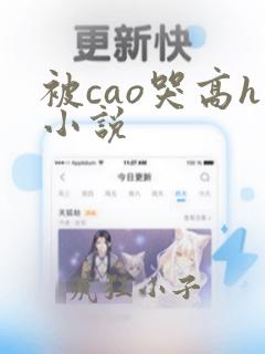 被cao哭高h小说