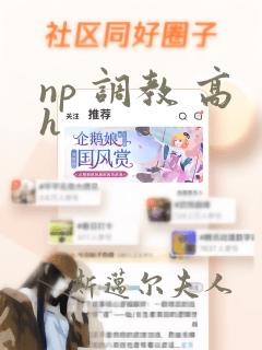 np 调教 高h