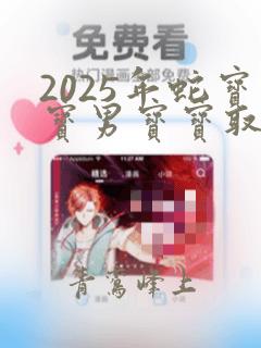 2025年蛇宝宝男宝宝取名