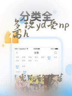 多攻yd受np高h