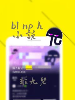 bl np h小说