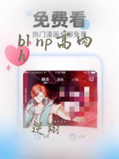 bl np高肉h