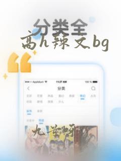 高h辣文bg