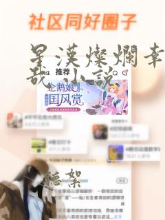 星汉灿烂幸甚至哉 小说