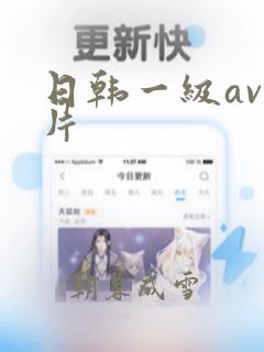 日韩一级av一片