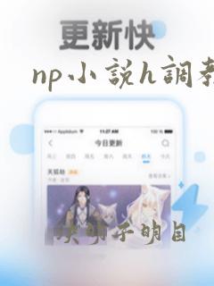 np小说h调教