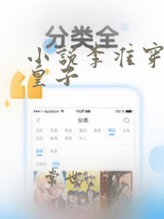 小说李准穿越六皇子