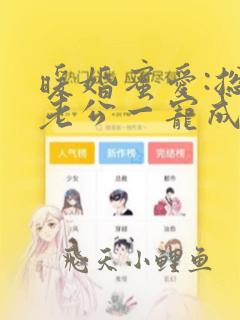 暖婚蜜爱:总裁老公一宠成瘾全