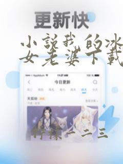 小说我的冰山美女老婆下载