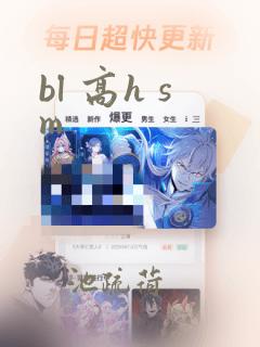 bl 高h sm