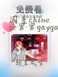 国产chinese男男gaygay视频网站