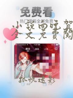 小说向晚贺寒川全文免费阅读全文