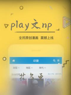 play文np