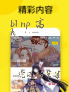 bl np 高h