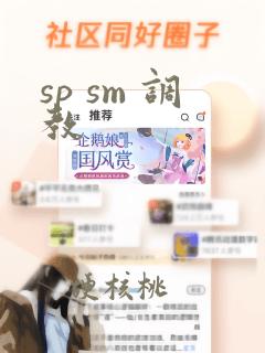 sp sm 调教