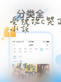 受被攻c哭高h小说