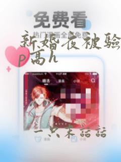 新婚夜被验身np高h