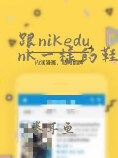 跟nikedunk一样的鞋型的鞋