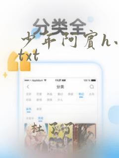 少年阿宾h小说txt