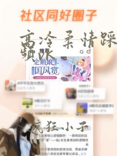 高冷柔情踩踏视频vk