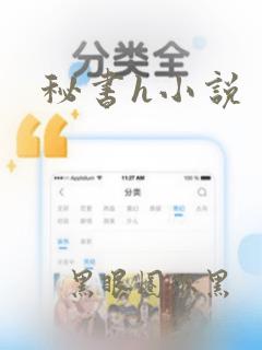 秘书h小说