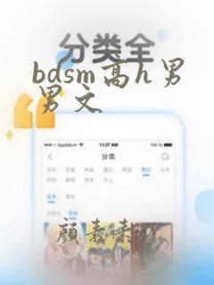 bdsm高h男男文