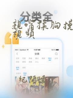 亲嘴揉胸摸屁股视频