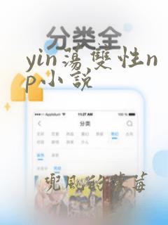 yin荡双性np小说