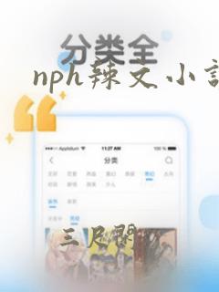 nph辣文小说