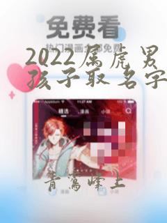 2022属虎男孩子取名字大全