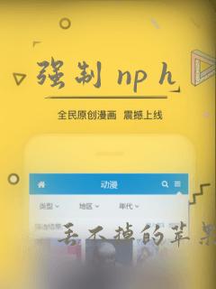 强制 np h