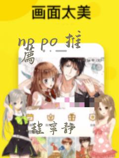 np po 推荐