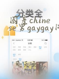 国产chinese男gaygay网站