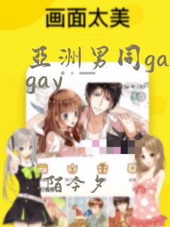 亚洲男同gaygay