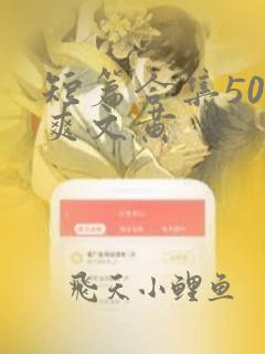 短篇合集500爽文黄