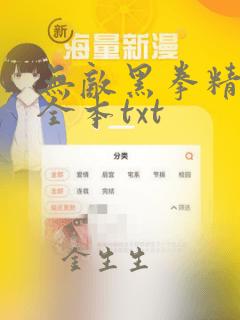 无敌黑拳精校版全本txt