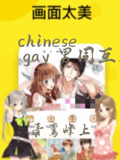 chinese gay 男同互操