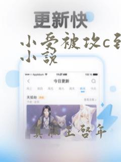 小受被攻c到哭小说