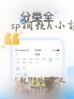 sp调教h小说