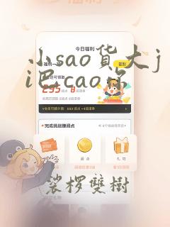 小sao货大ji巴cao你