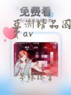 亚洲精品国产免费av